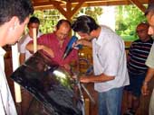 Montare folii geamuri 10