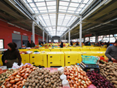 Piața Agroalimentară Lugoj 1